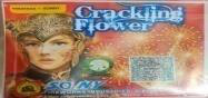 Crackling Soda - Mega Flower Pot